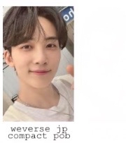 正四後續漢 wvs jp