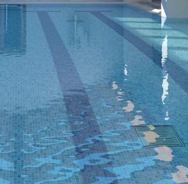 マスカットケーキ