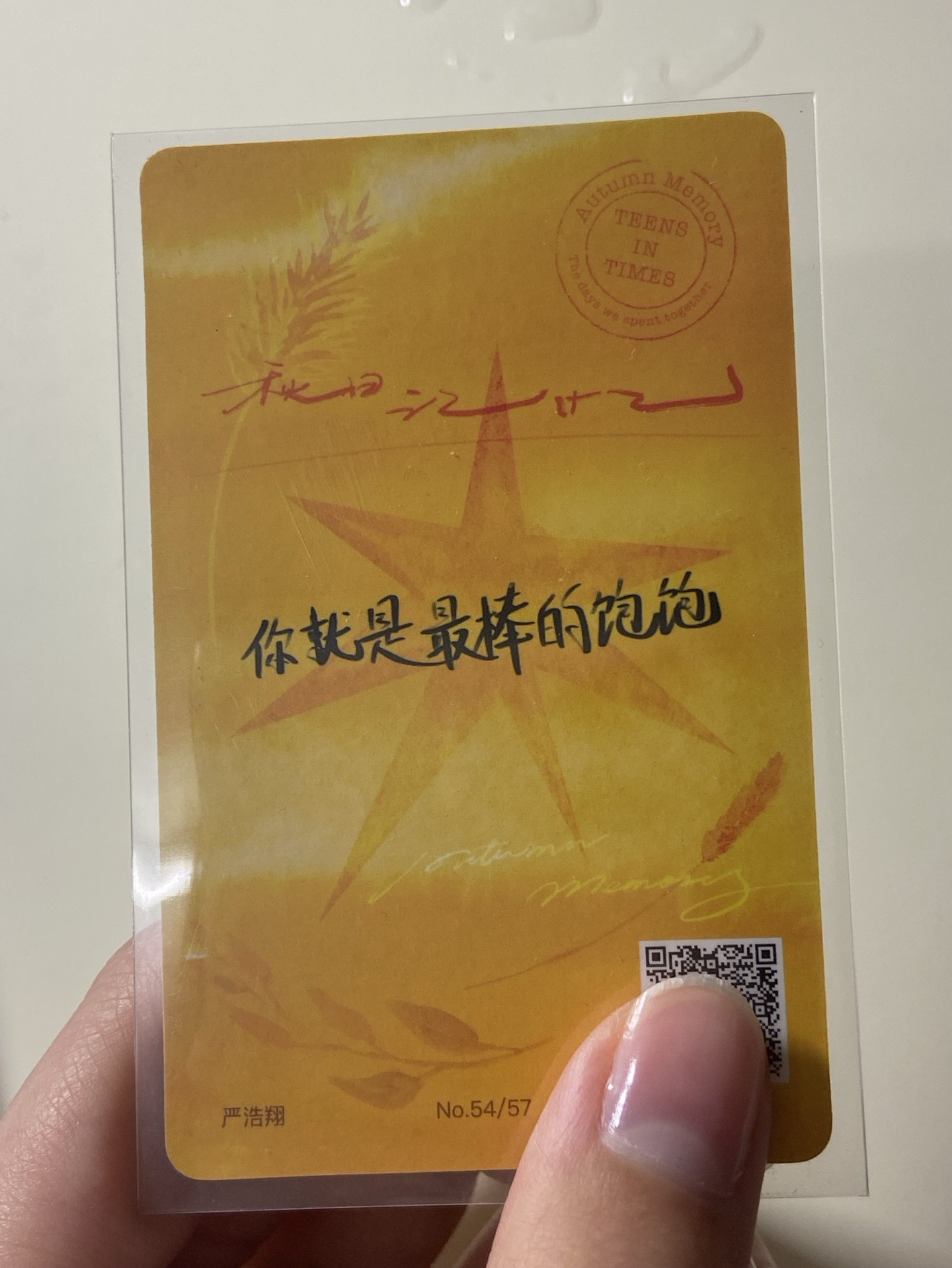 嚴浩翔秋日團固