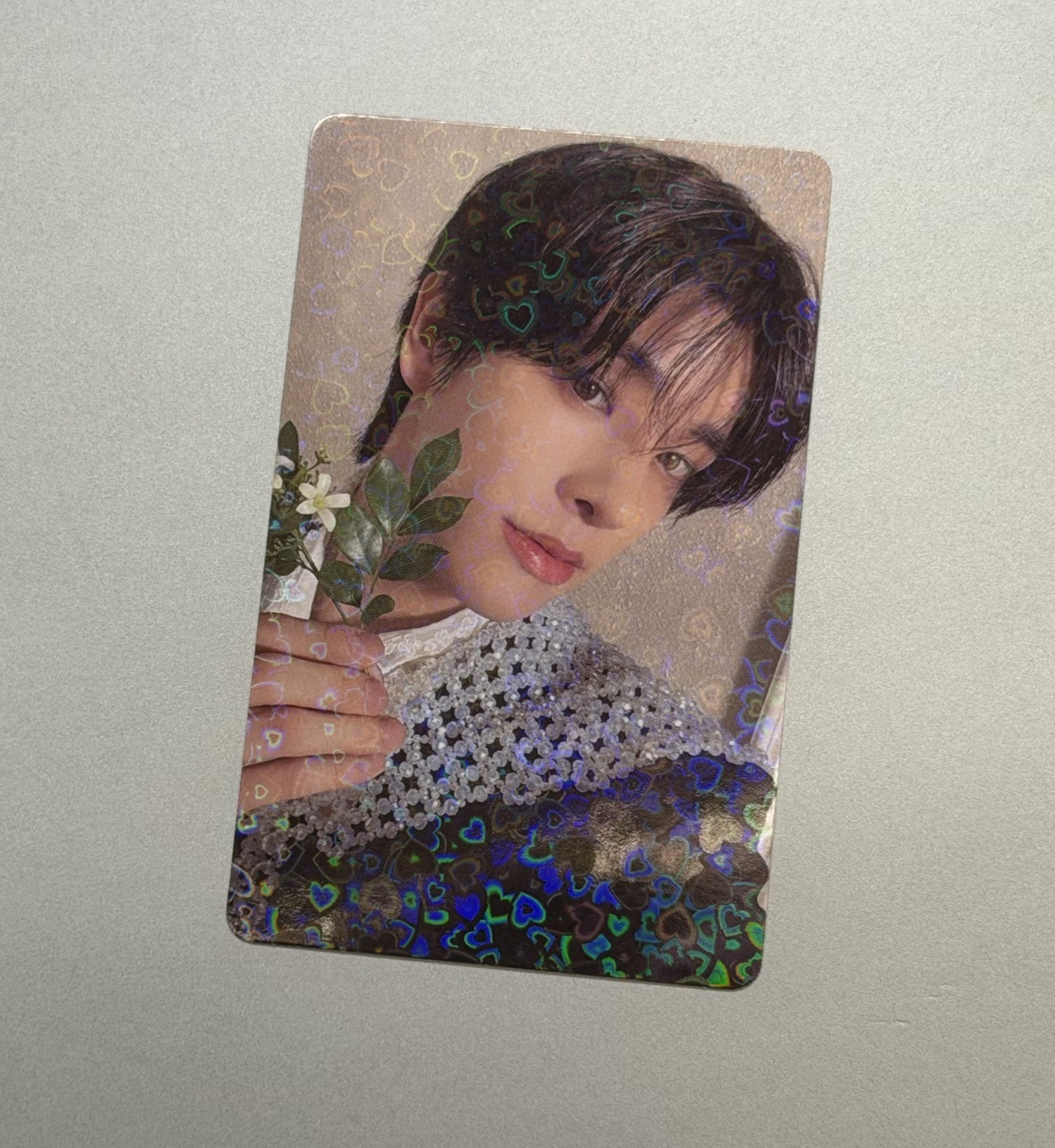 迷五日咖特典倫