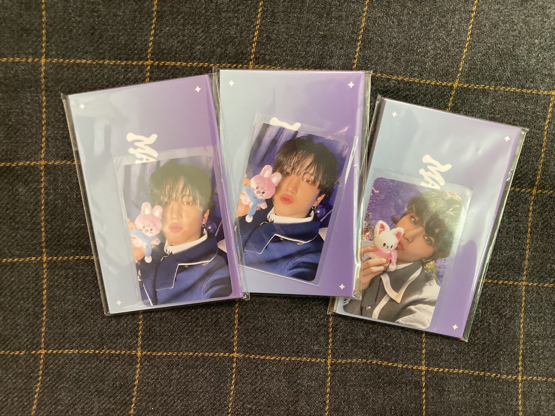 SKZ 4期魔法學院 彬寅立牌