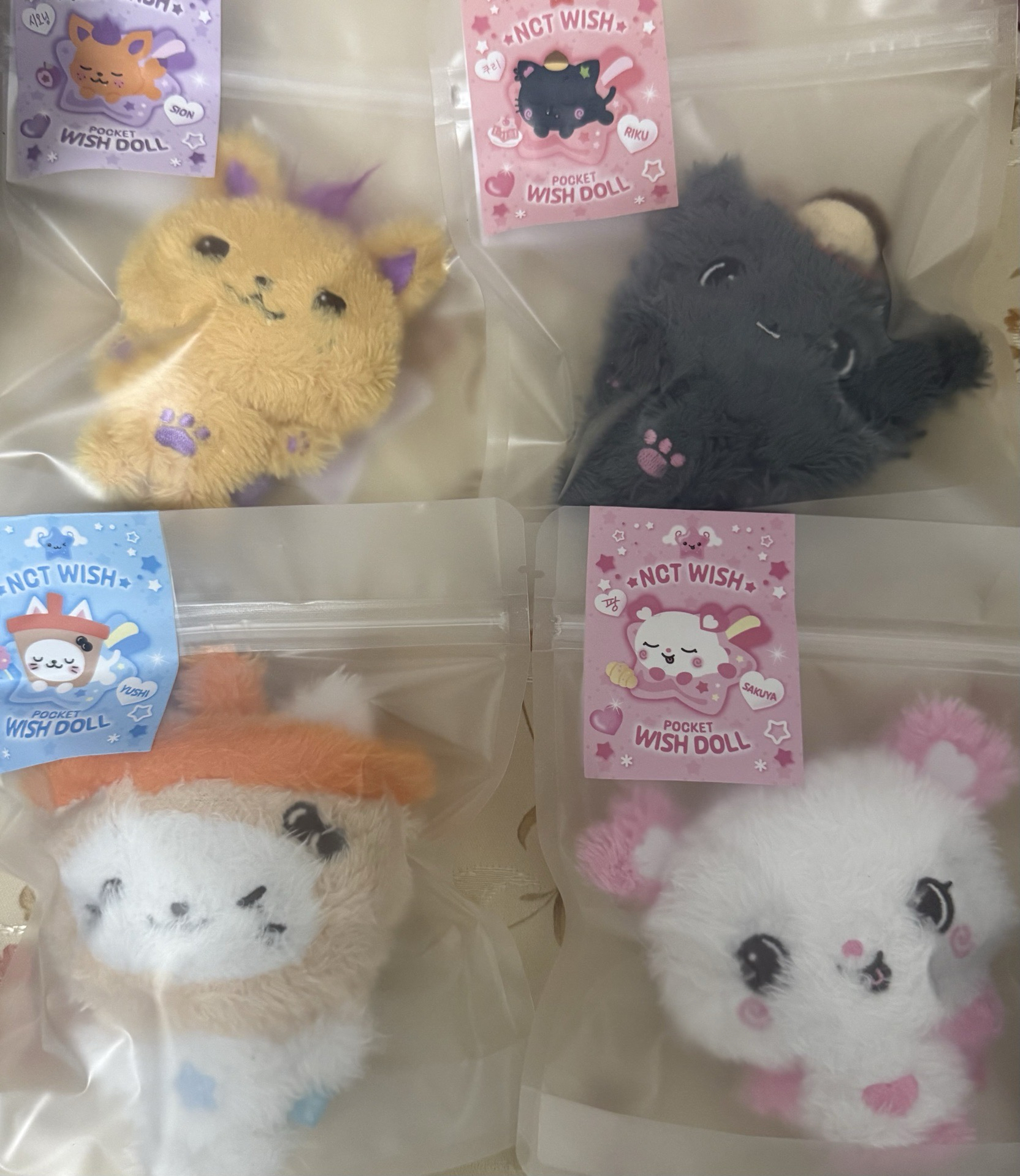 現貨 NCT WISH 口袋娃 Pocket Wish doll