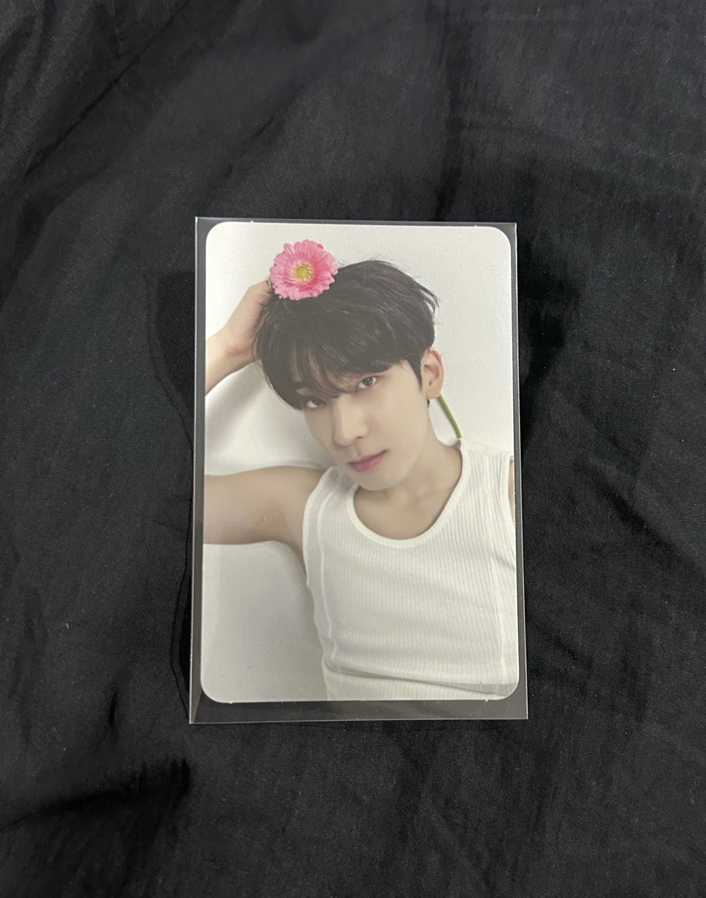 seventeen 親愛盤 精選專 全圓佑