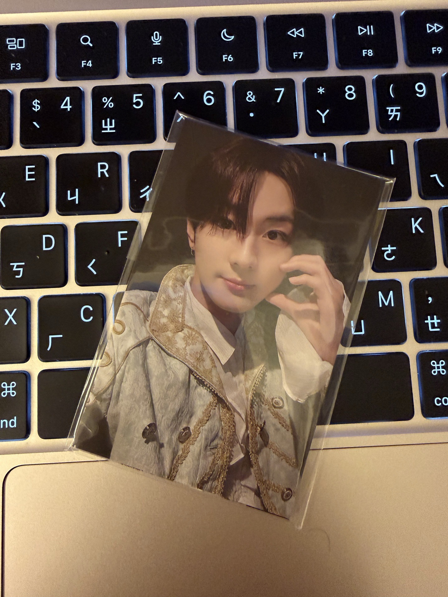 fate+ 外套卡一套