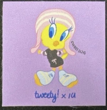 IU世巡場週（全新未拆）