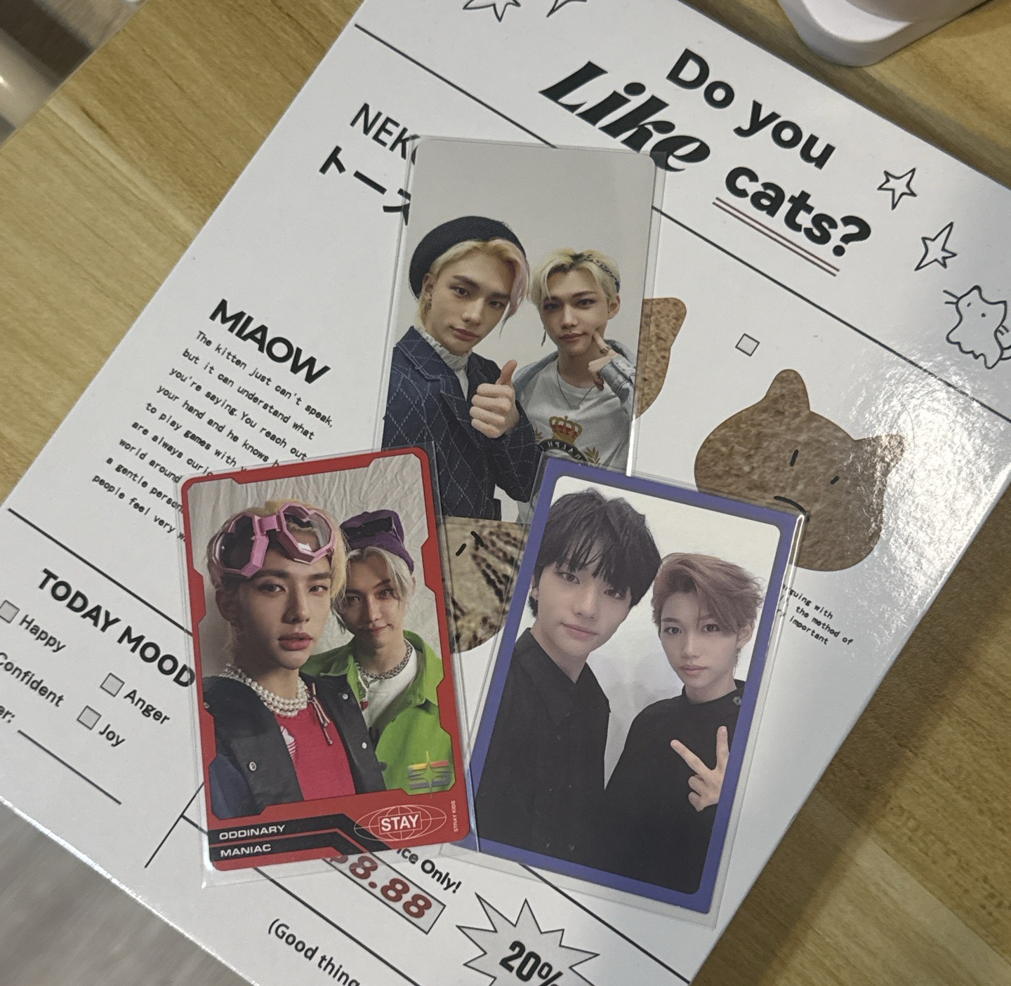 💥SKZ 辰菲雙人卡