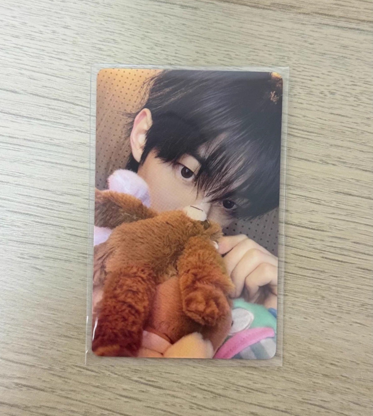 TWS 道勳 YZY2.0 抱熊特典 中文卡背 小卡