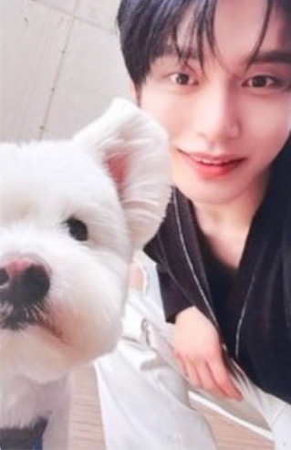 正規一 專輯卡 團封 