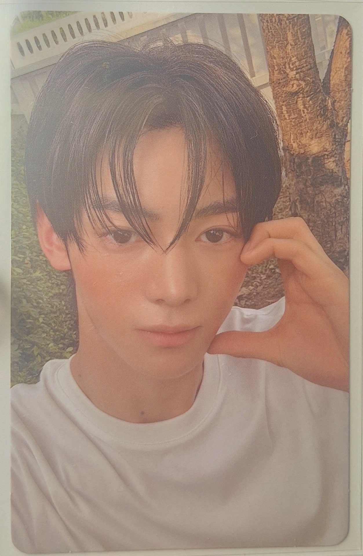 TWS韓振 wvs特典卡 預售