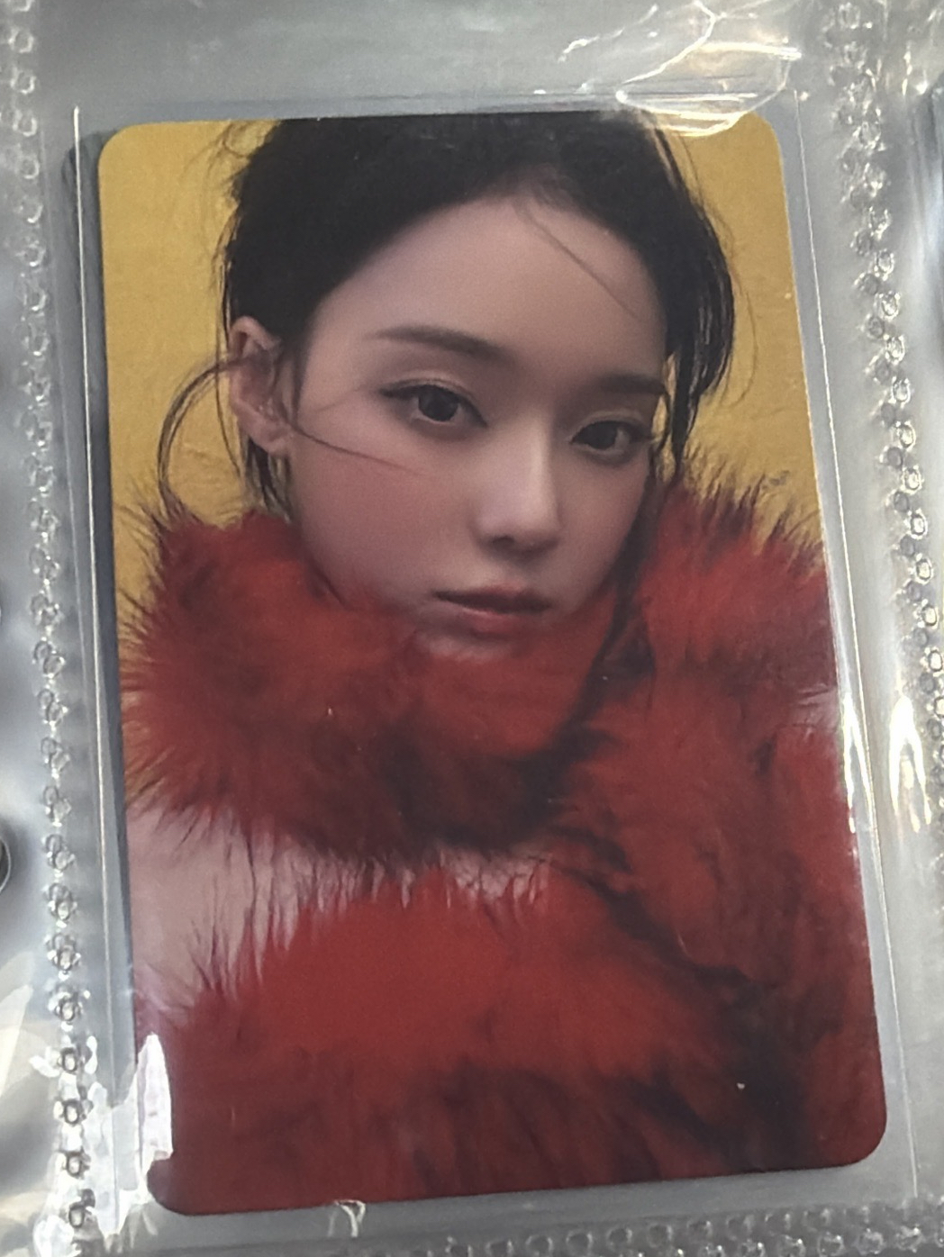 Rich Man 專輯卡 BURST冬