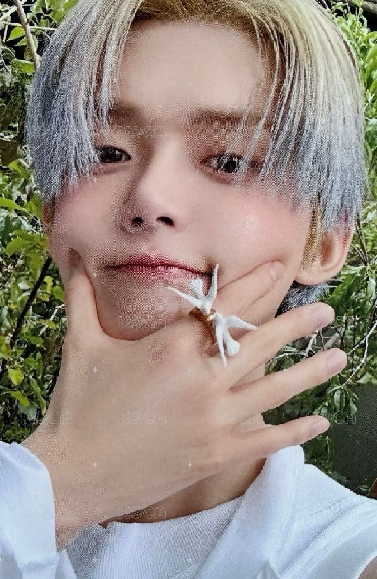 非現捏臉阿貢包竣