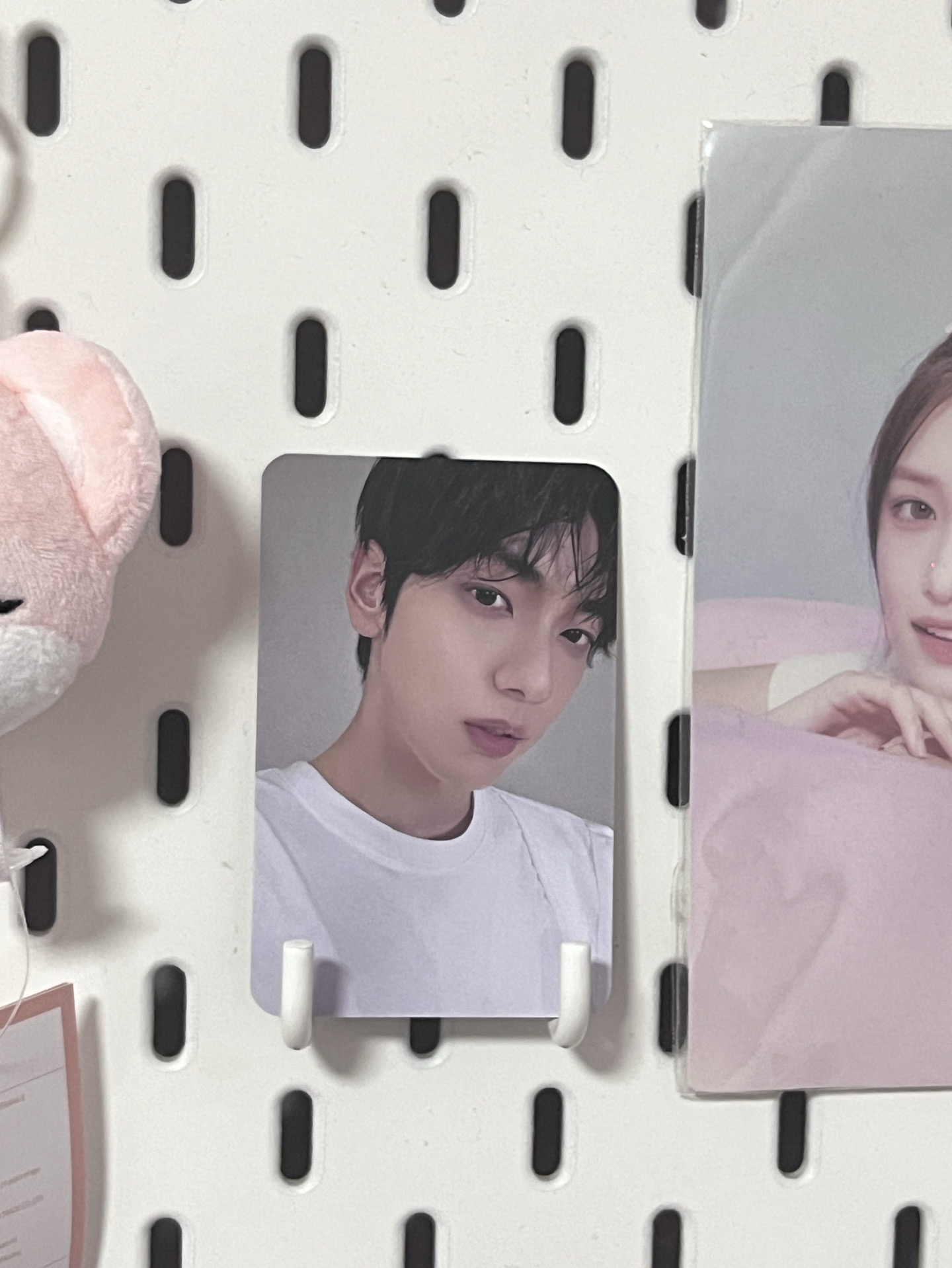 數星星 上海線下簽售彬