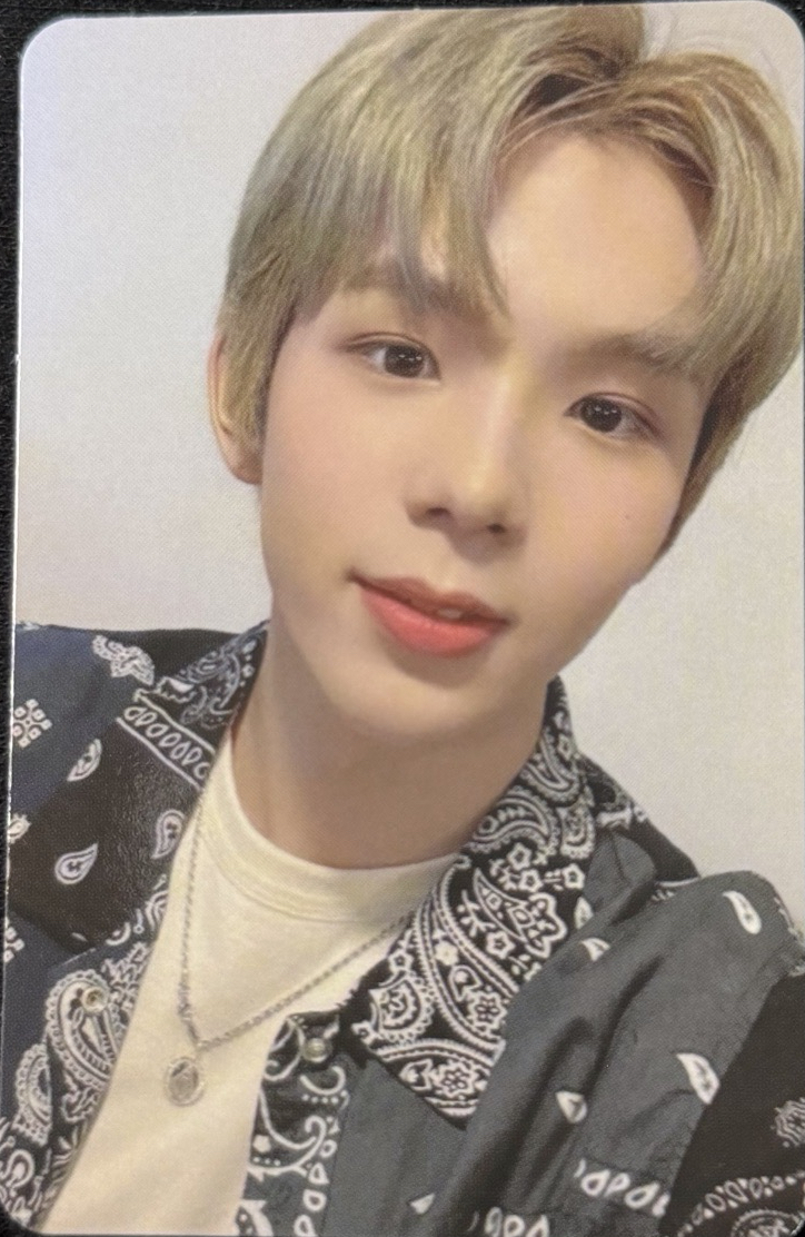 NCT時期 專輯卡 shotaro將太郎、成燦