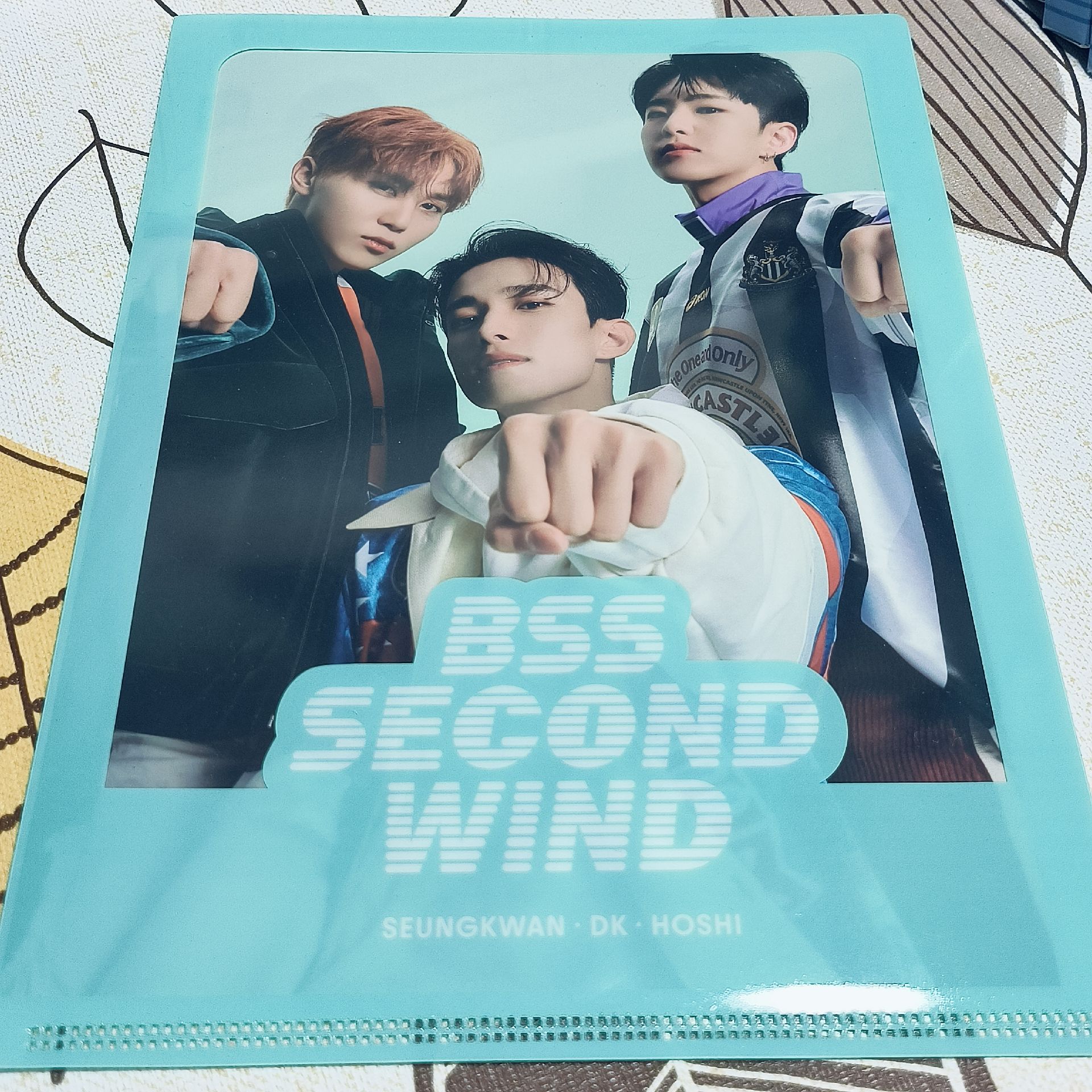 BSS Fighting 一整套全專