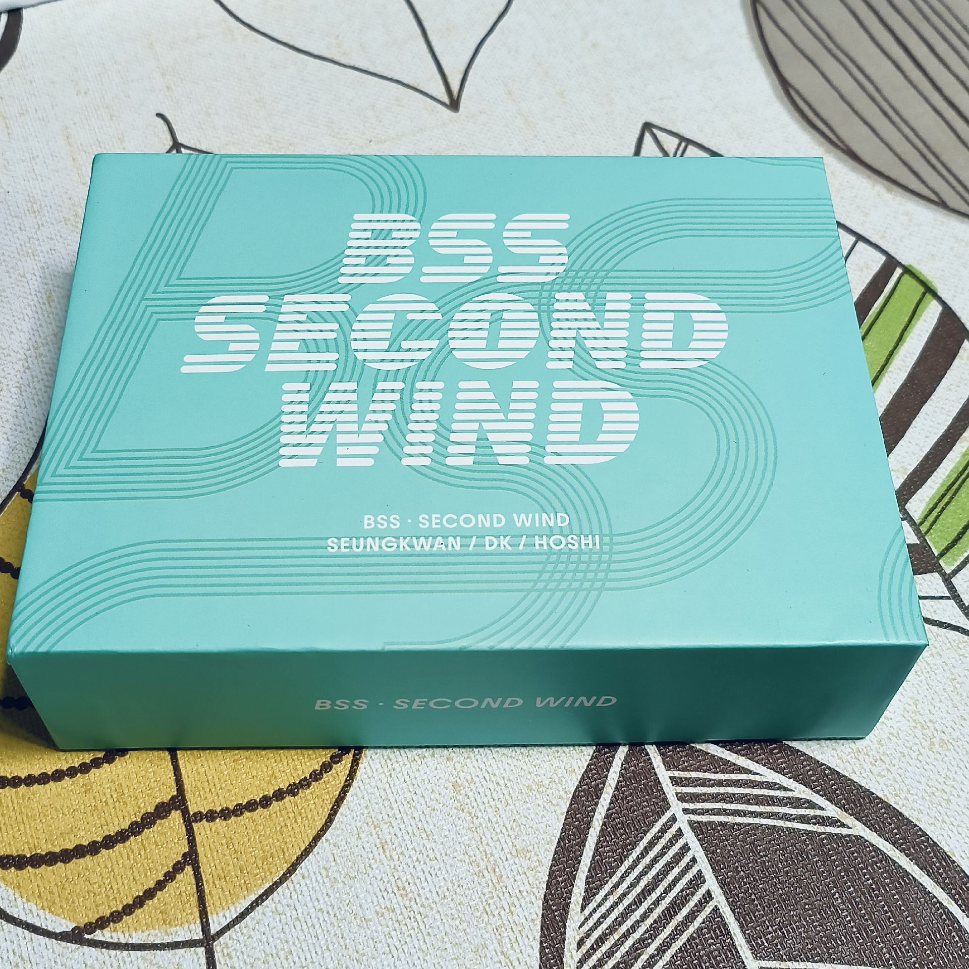 BSS Fighting 一整套全專