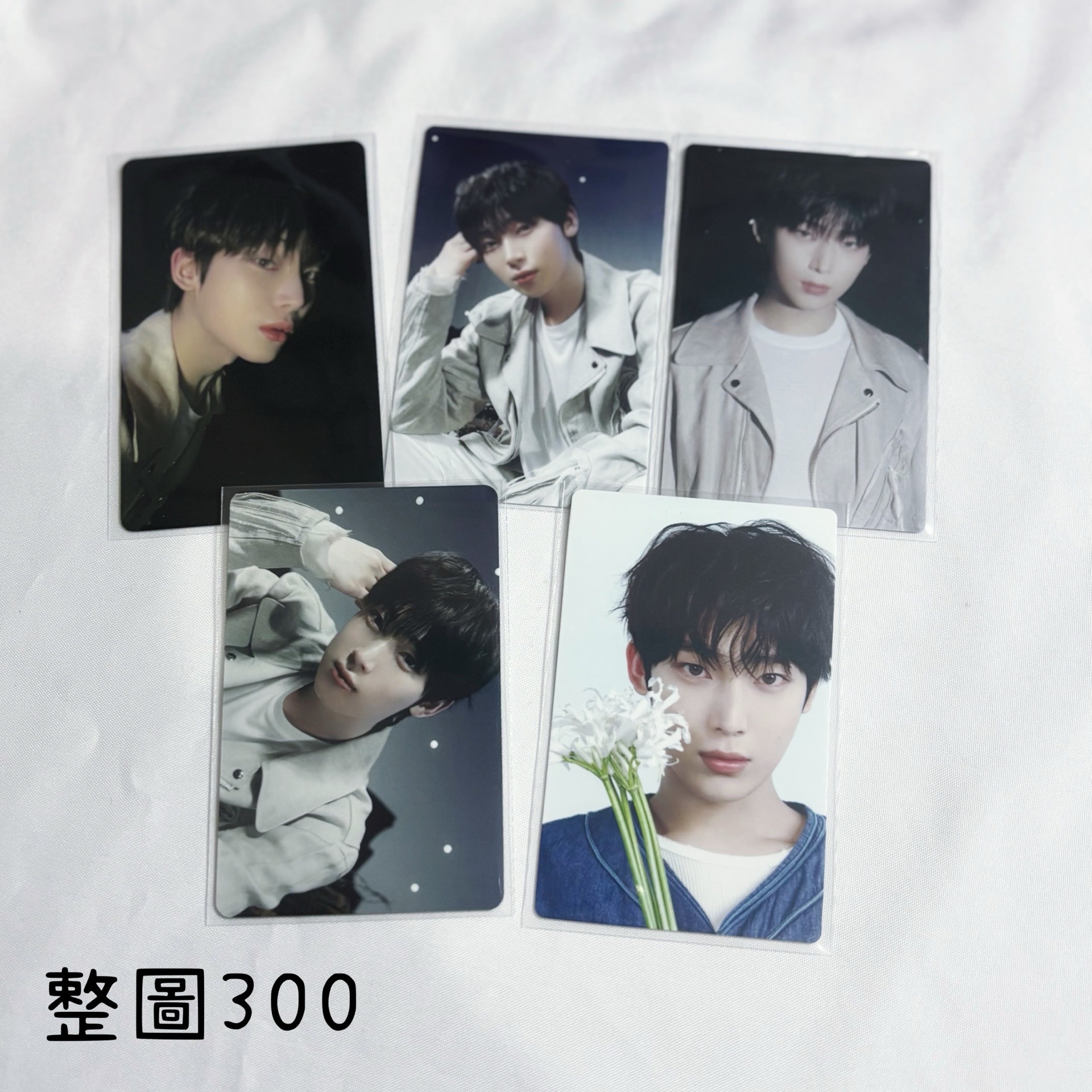 禹日專小盤（可當綁