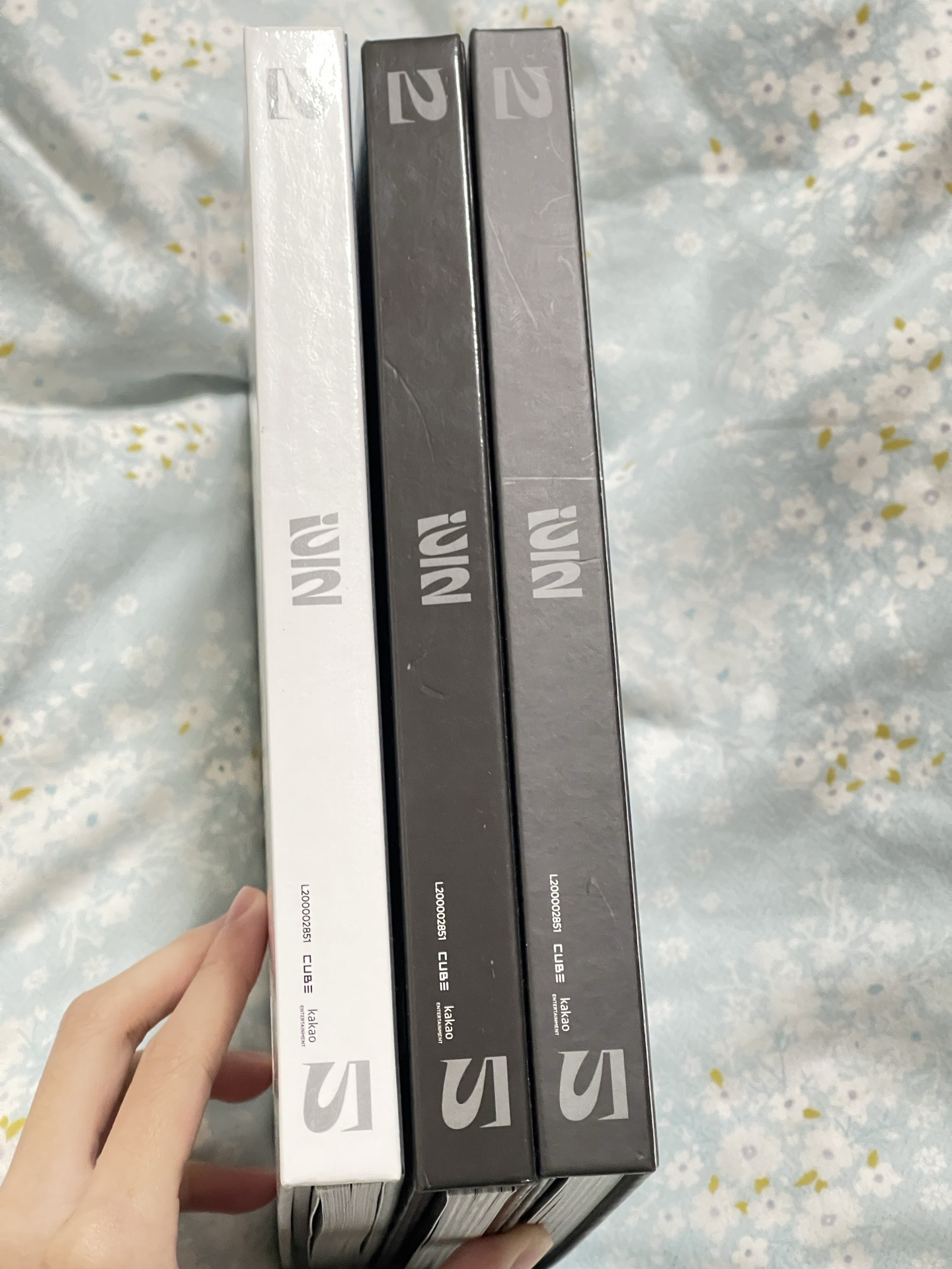 正規二（左，全專）