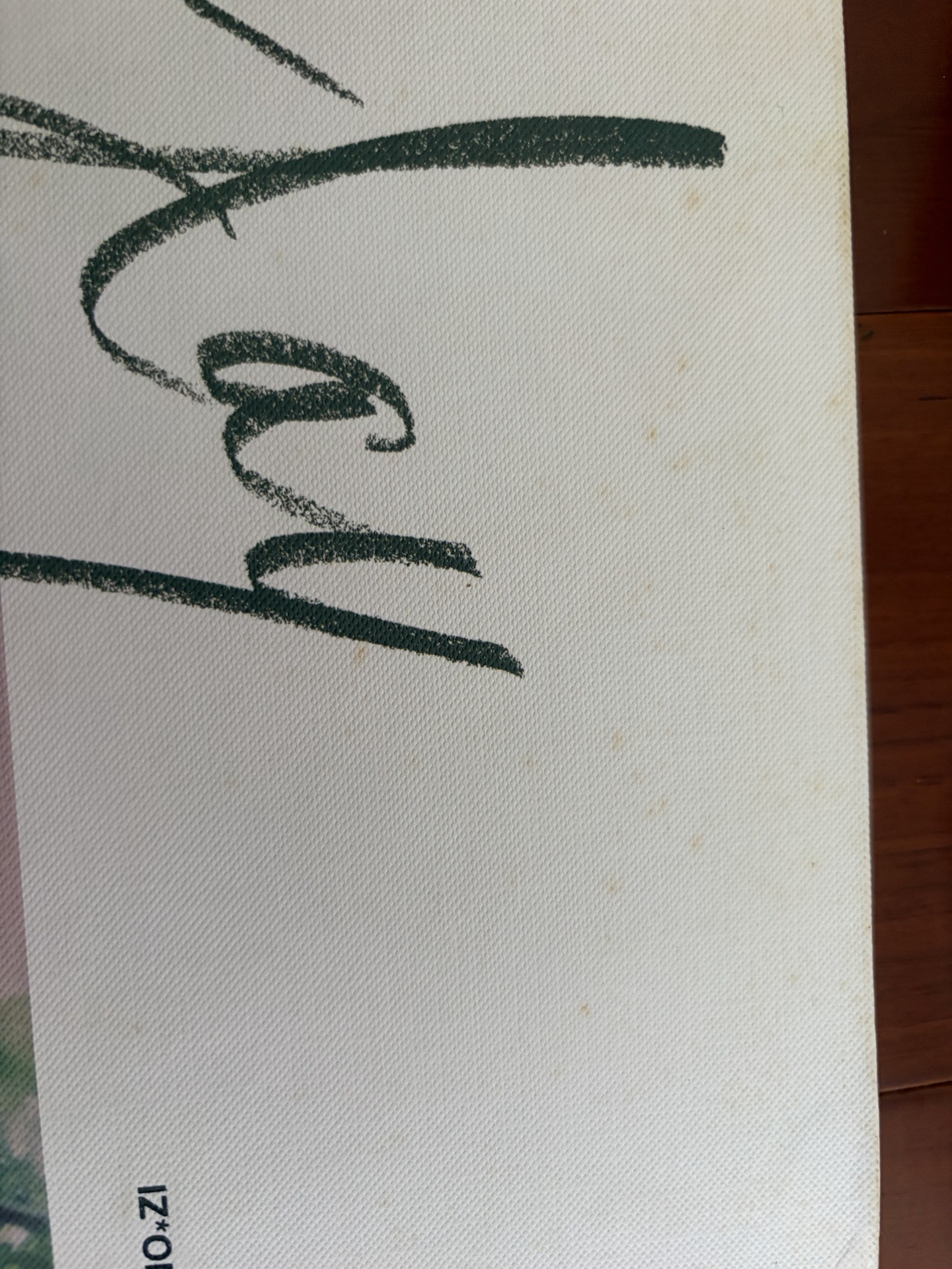 IZ*ONE ONE DAY寫真 寫真集 