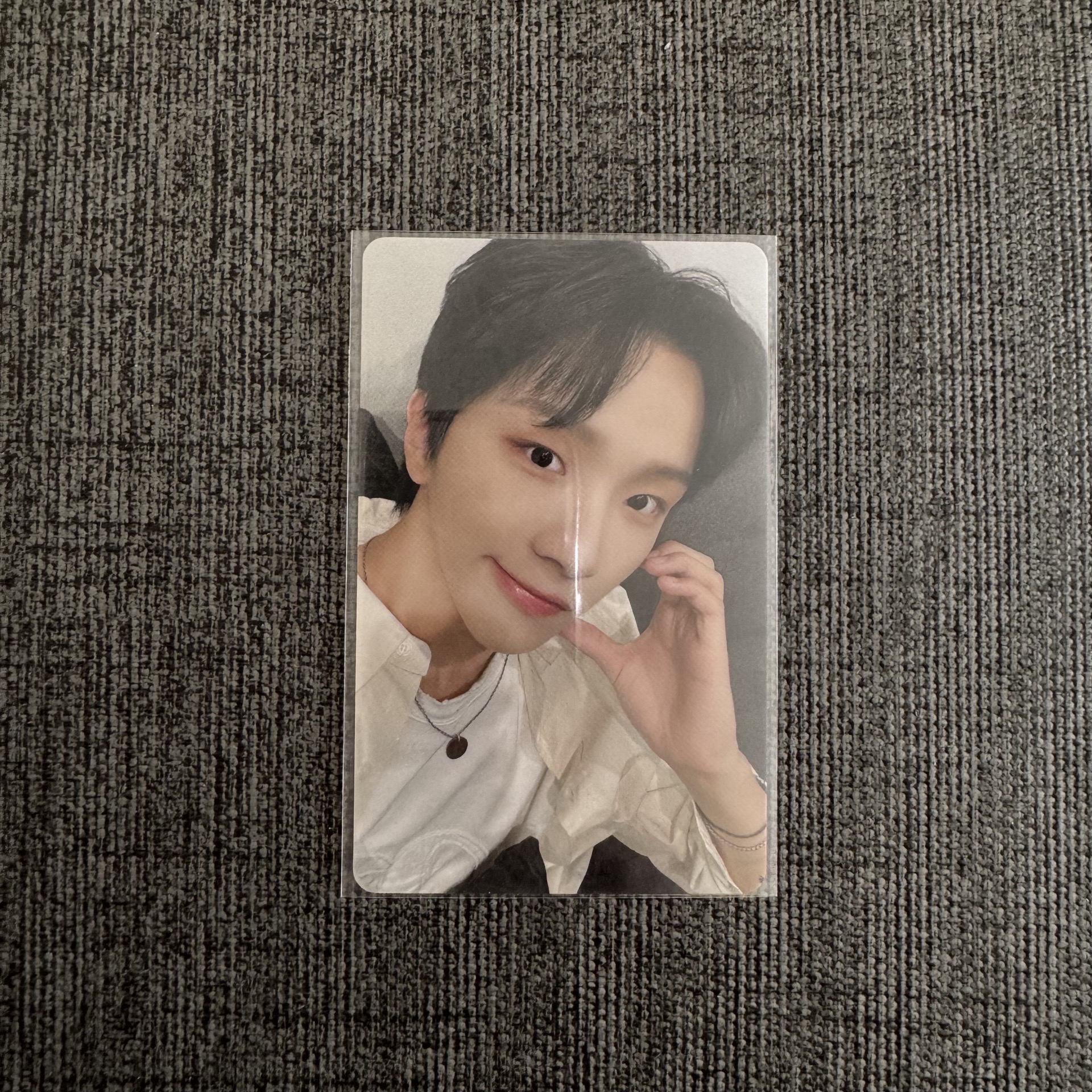 日咖 星星閃卡 金雲鶴