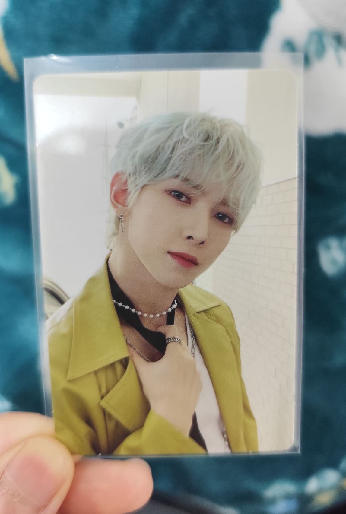 一點小卡🐻🐩🐰