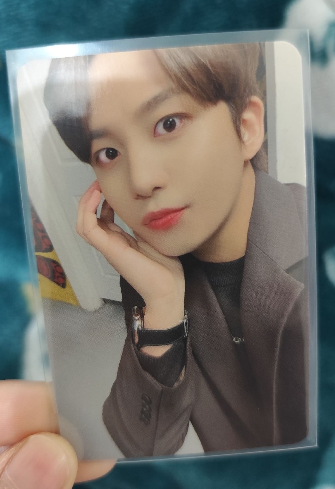 一點小卡🐻🐩🐰