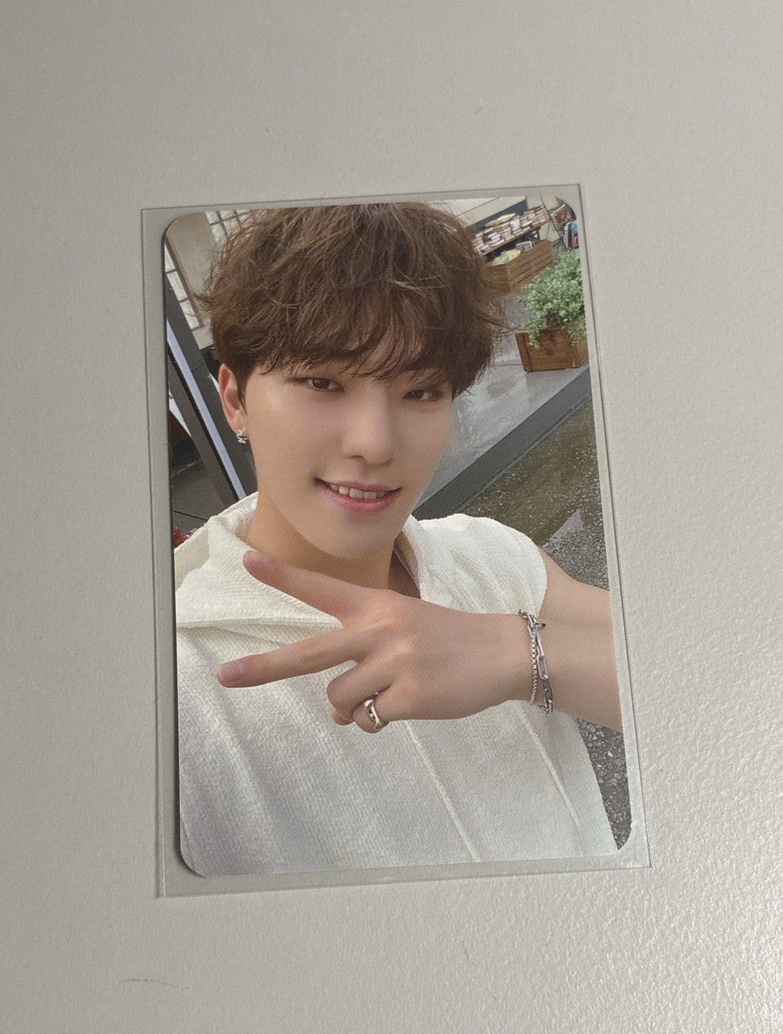 正四後續wvs/阿拉丁特典燦