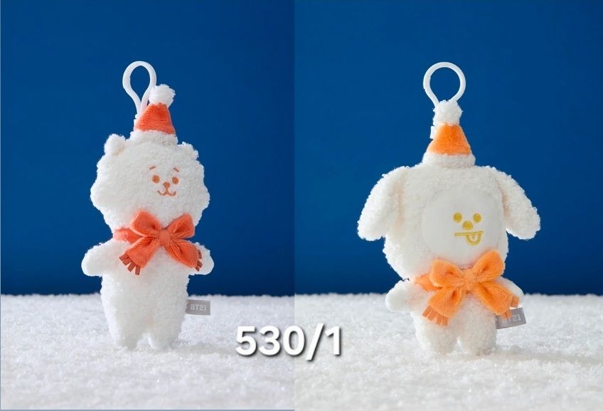 Bt21 RJ Chimmy 冬日娃