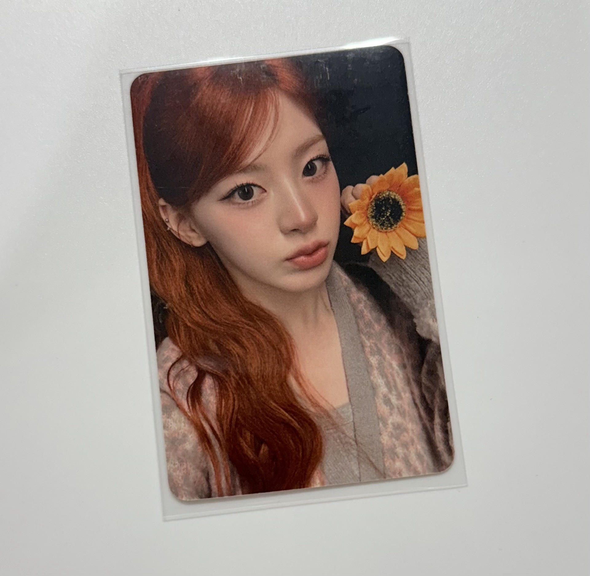 向日葵勢銀 seeun