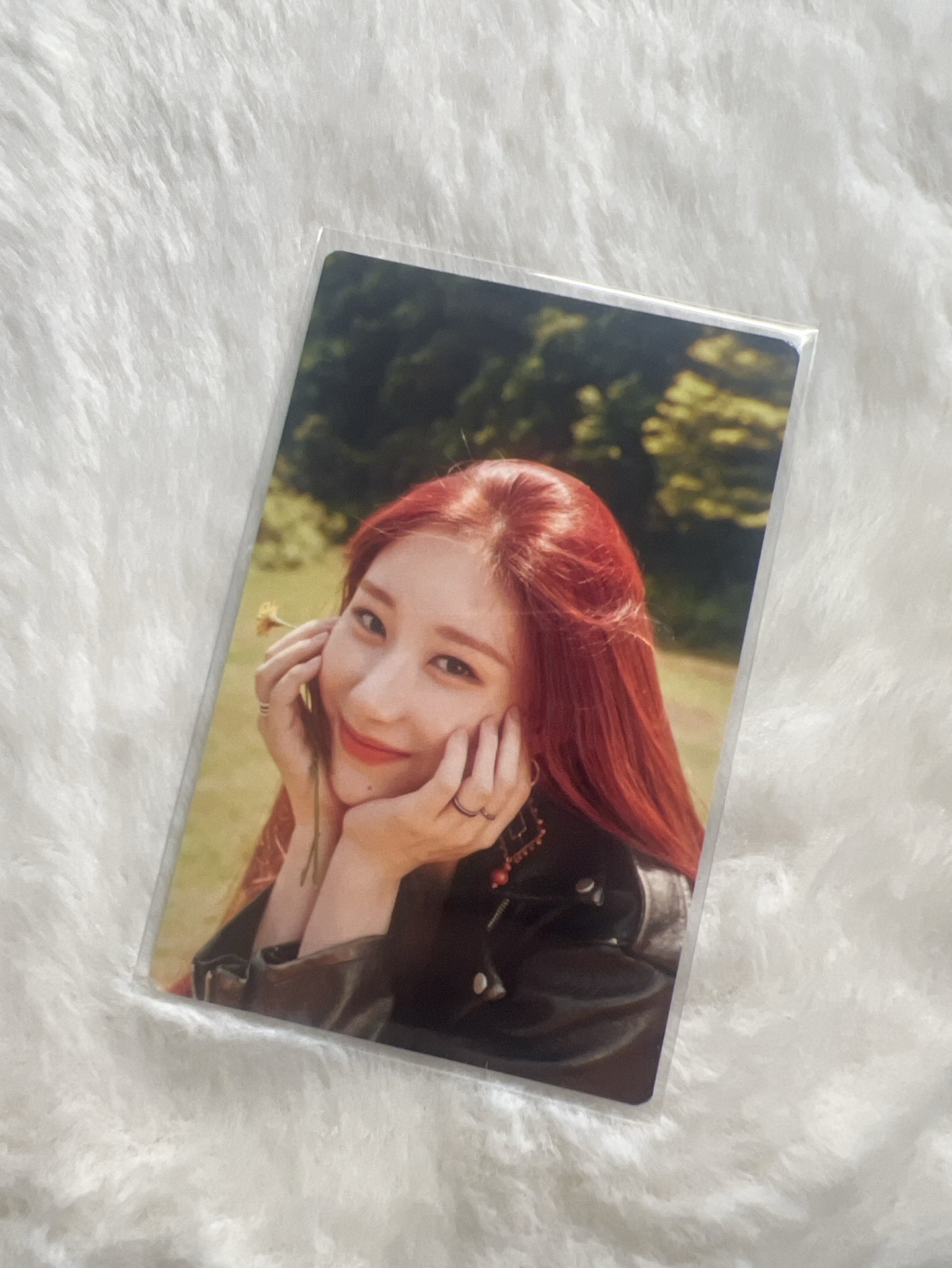 2022年曆 隨機卡 