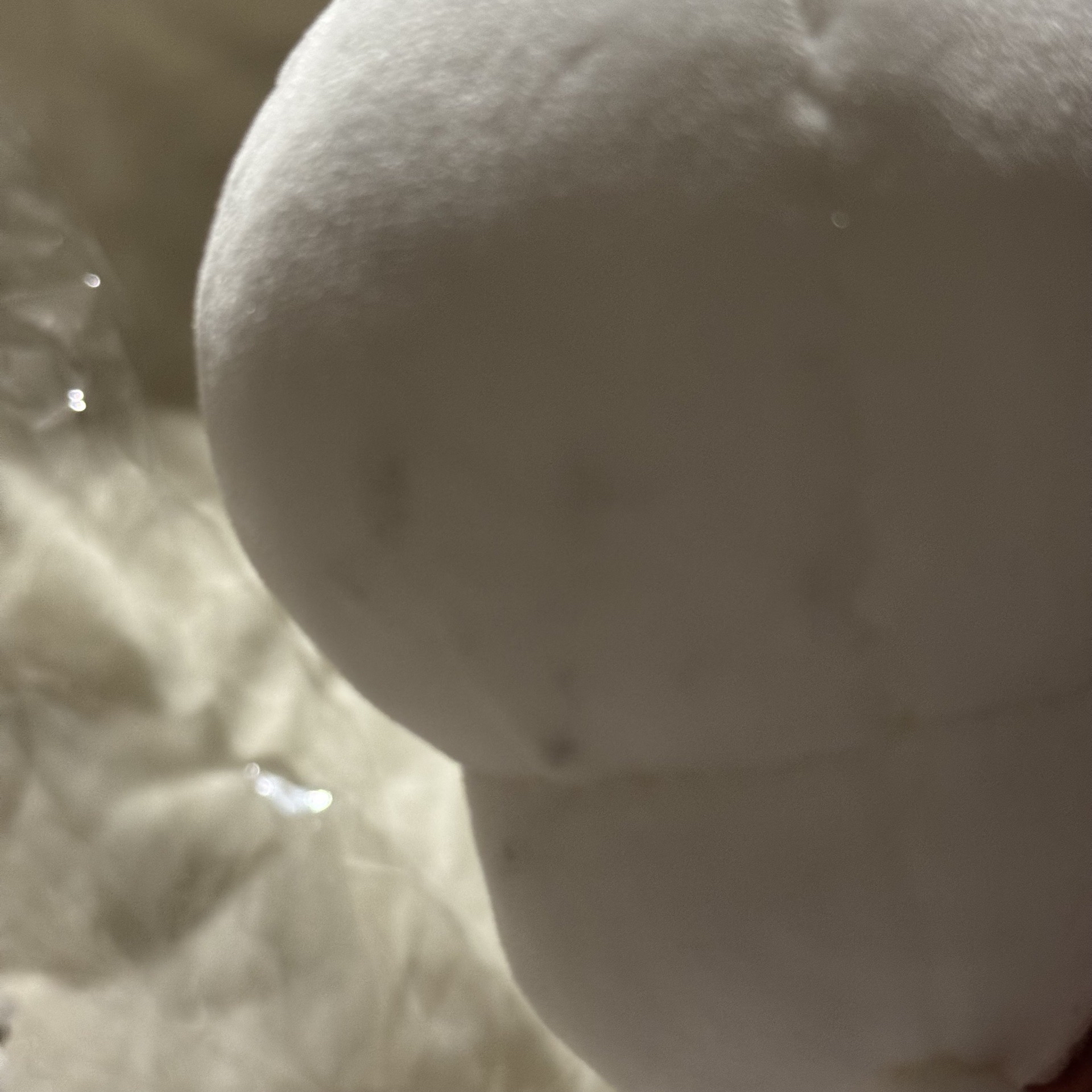 吉伊卡哇 熊皮揣手吉伊&小八