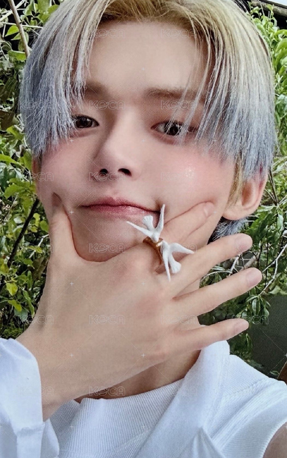 阿貢包竣 本體660or750