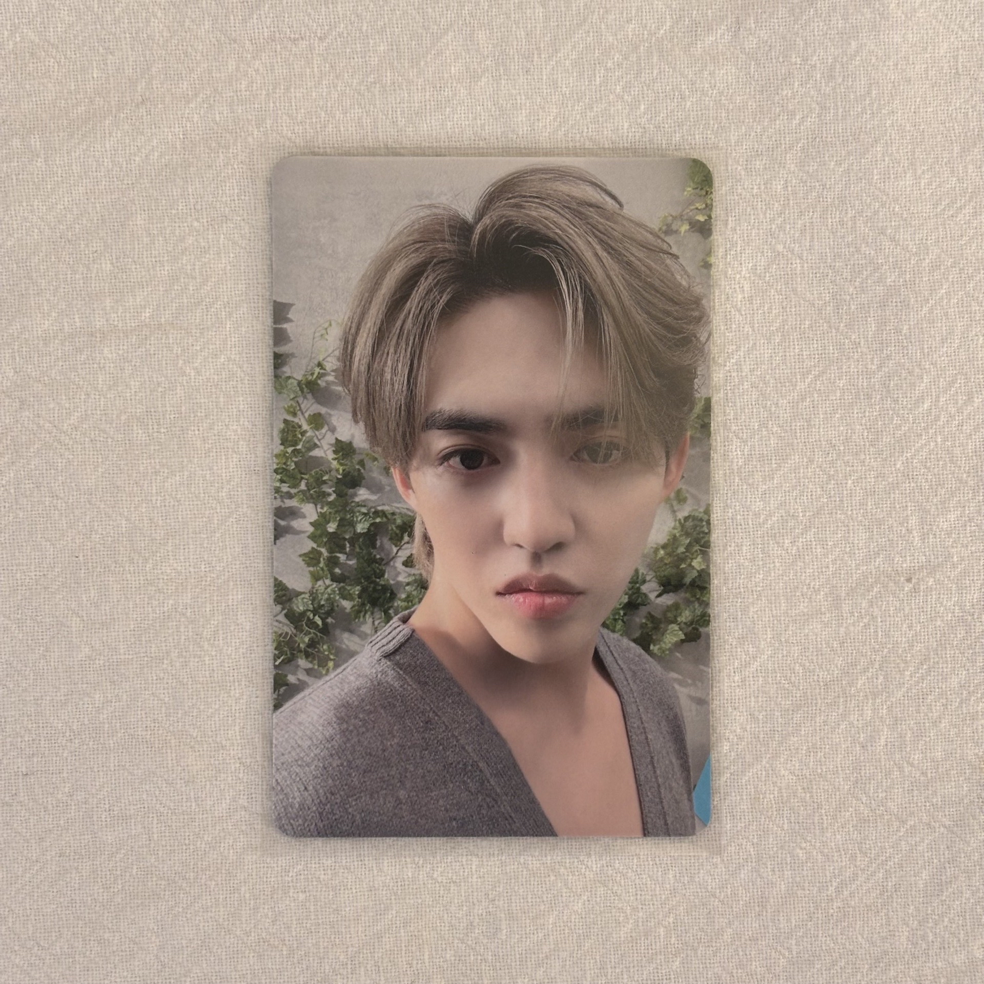 消費期限 塔店特典 喆