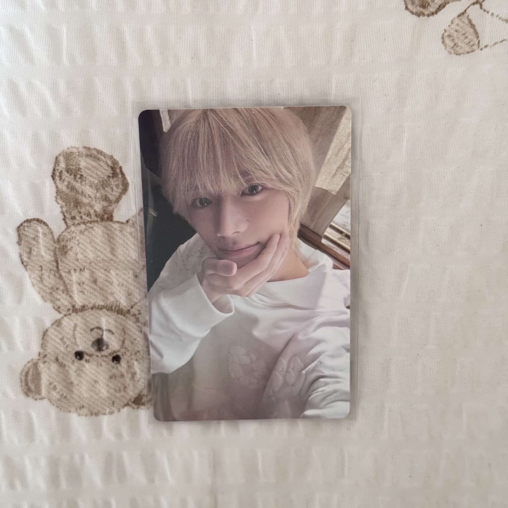 angel wvs單封特典圭（需綁$150）