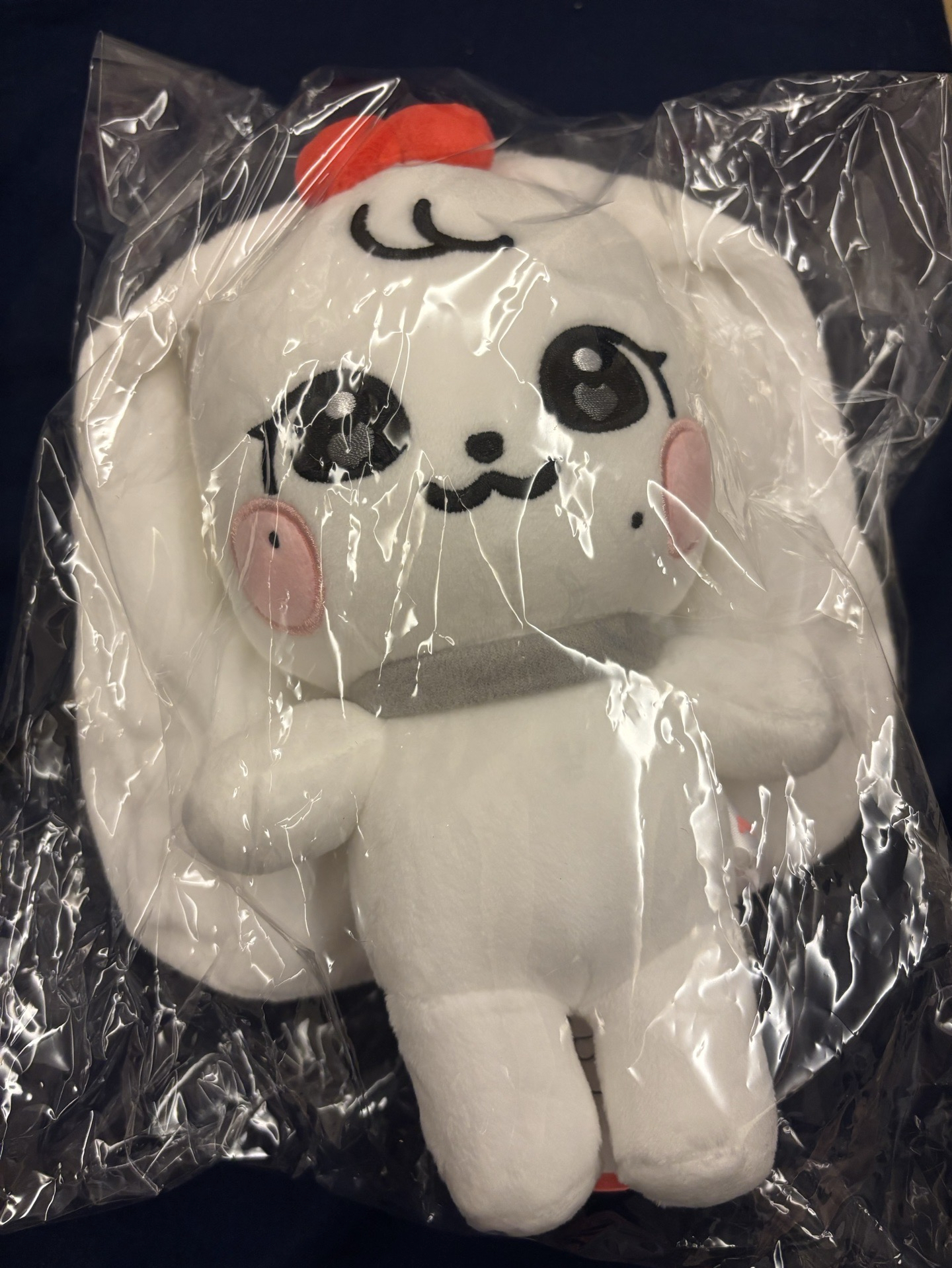 MINIVE SCHOOL 娃娃玩偶 