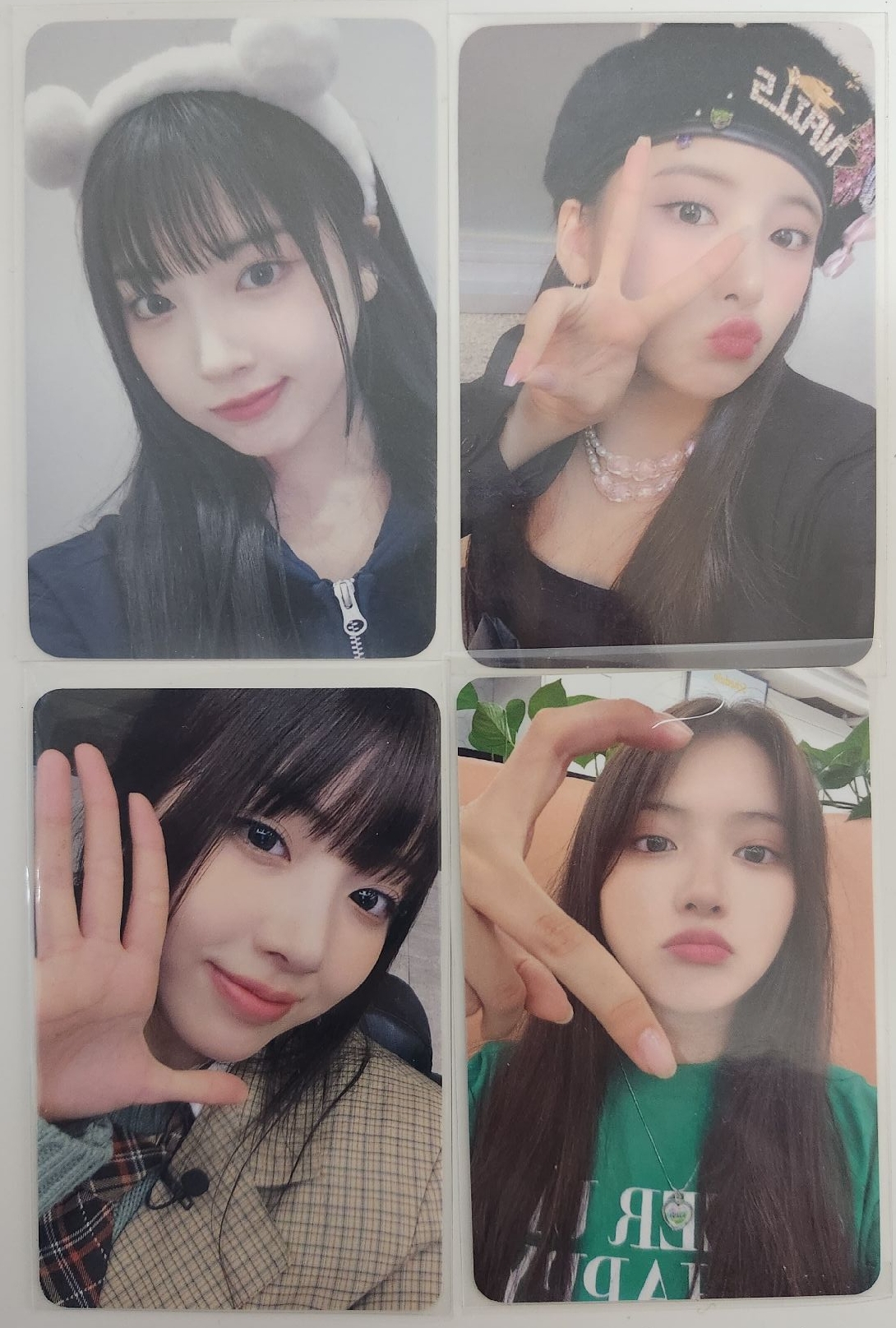 JIWOO 自嘲熊/QOO/偵探/一期滿額