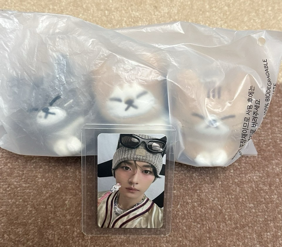 全新Straykids 順東多吊飾（含卡）