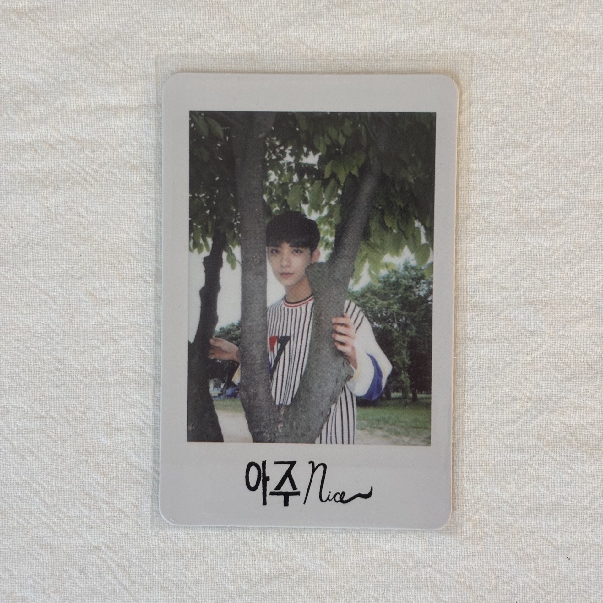 正規一後續 專卡 秀