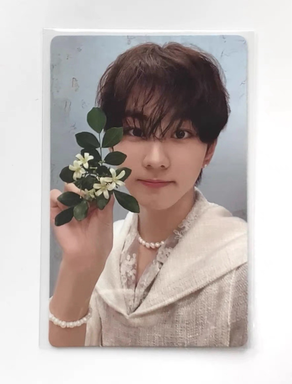 禎元Jungwon mini5 銀版pb專卡 拿花元