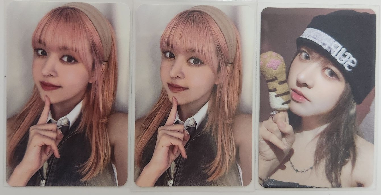 LILY 熱狗莉/喵喵拳莉