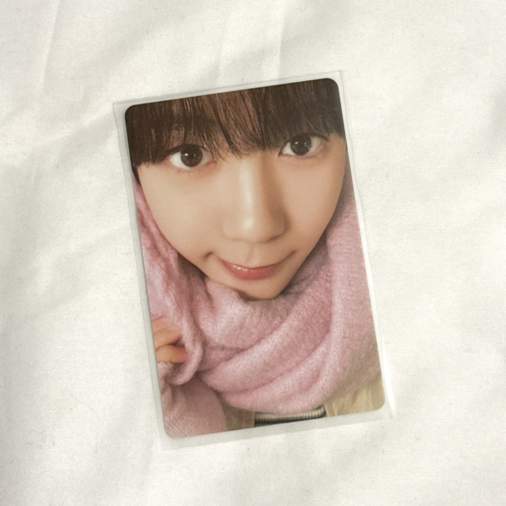 幫狗狗圍圍巾第一視角