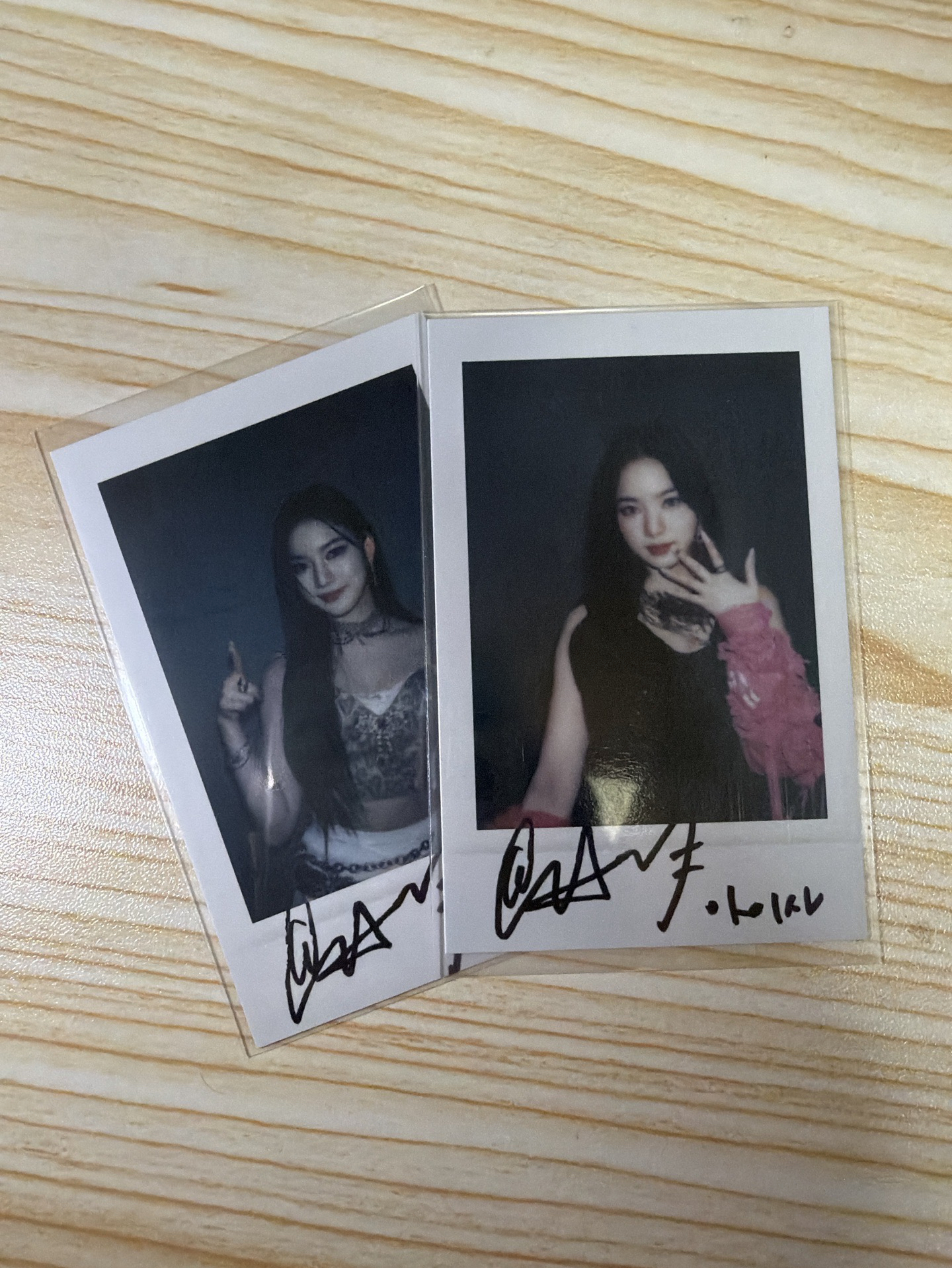 正規一 sr1.0特典 拍立得莎