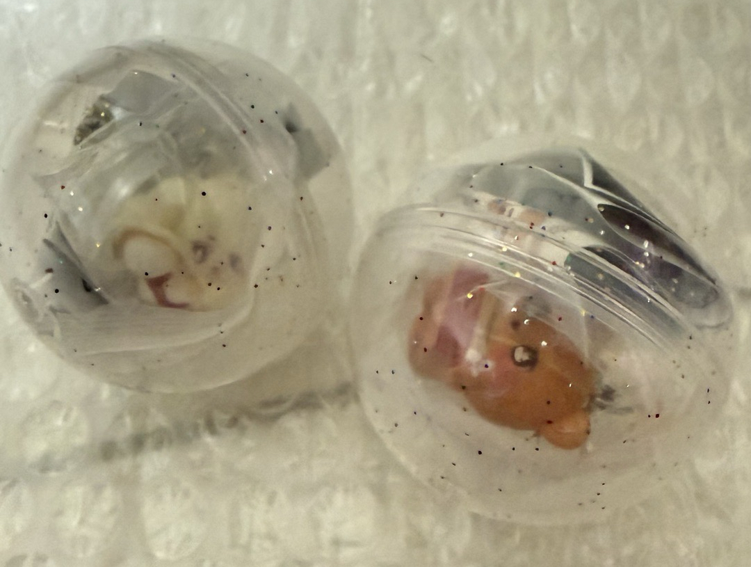 扭蛋 嘿夢 鍾熊