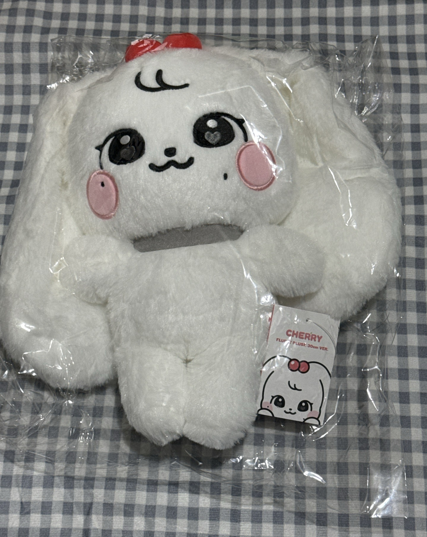 CHERRY 30cm 娃娃全新未拆 無小卡