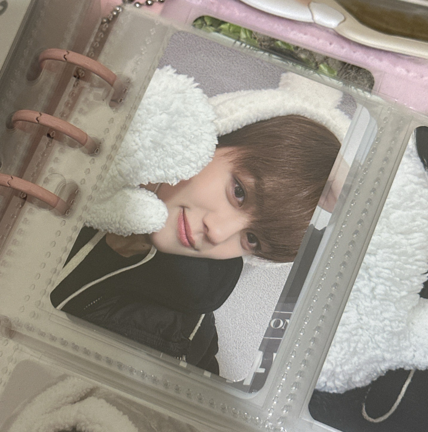 ‎✶ 金奎彬 迷二特典 北極熊🐻‍❄️