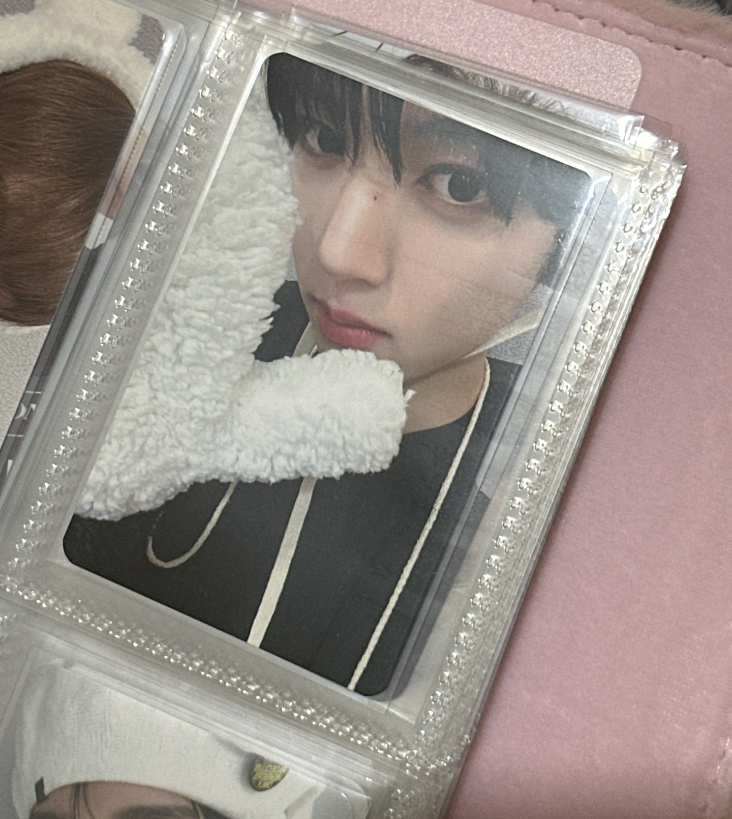 韓維辰 迷二特典 北極熊