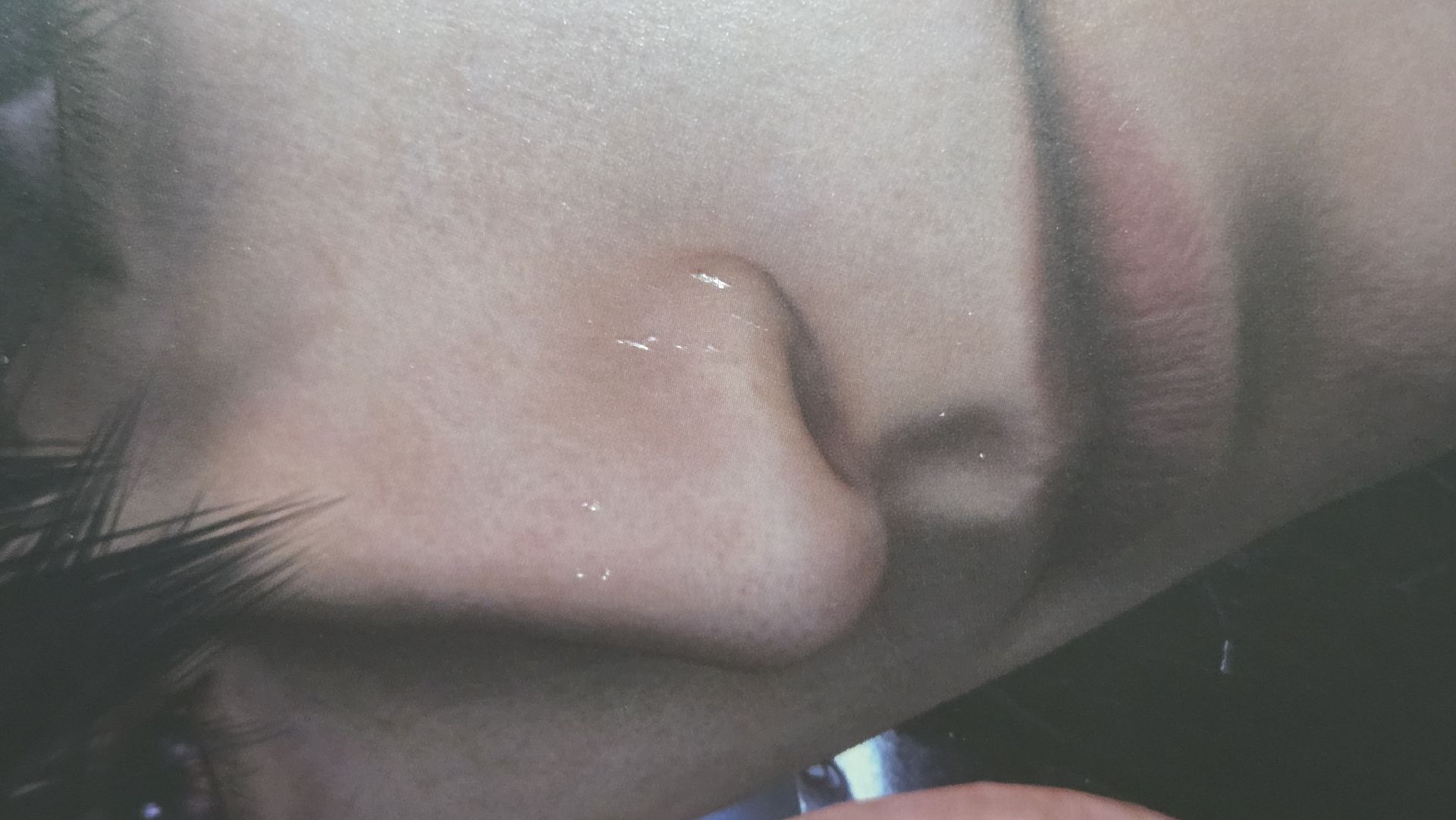 暫掛 夏以晝 餐墊 有損有損有損