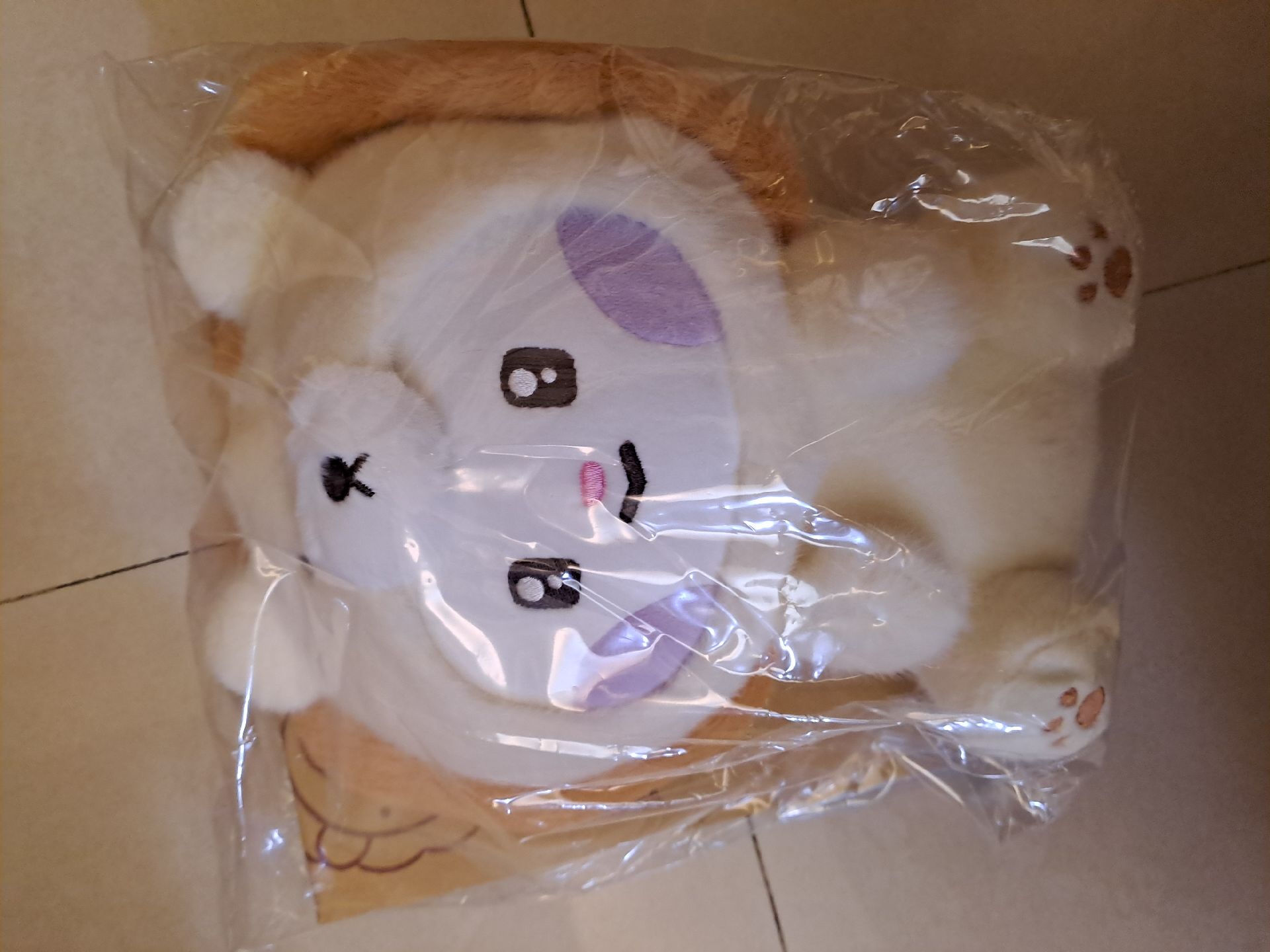 韓維辰大娃（多帶）