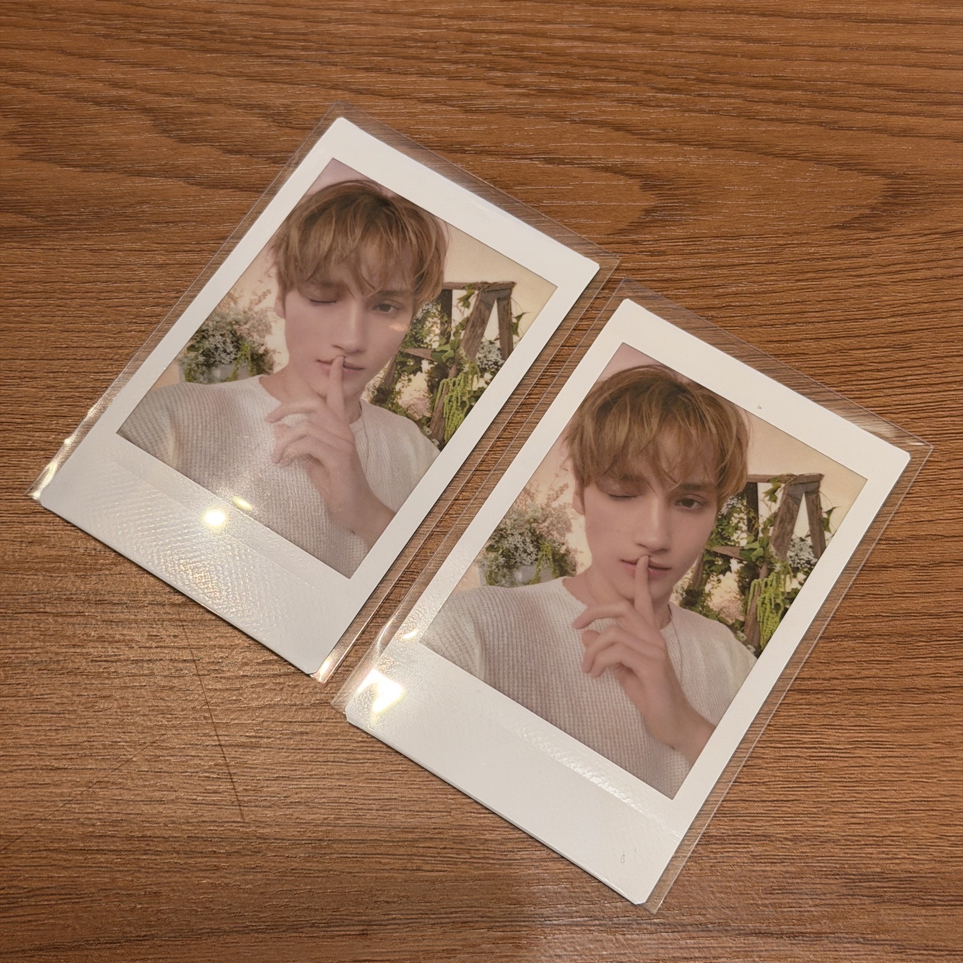 日巡 隨機拍立得 休寧凱