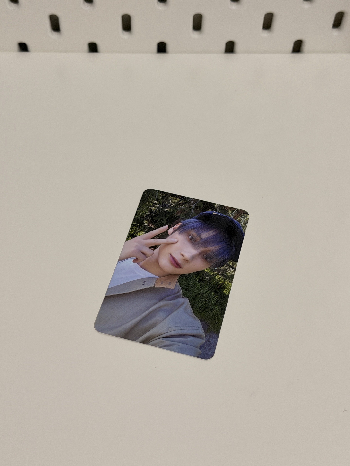 美巡寫真周邊卡