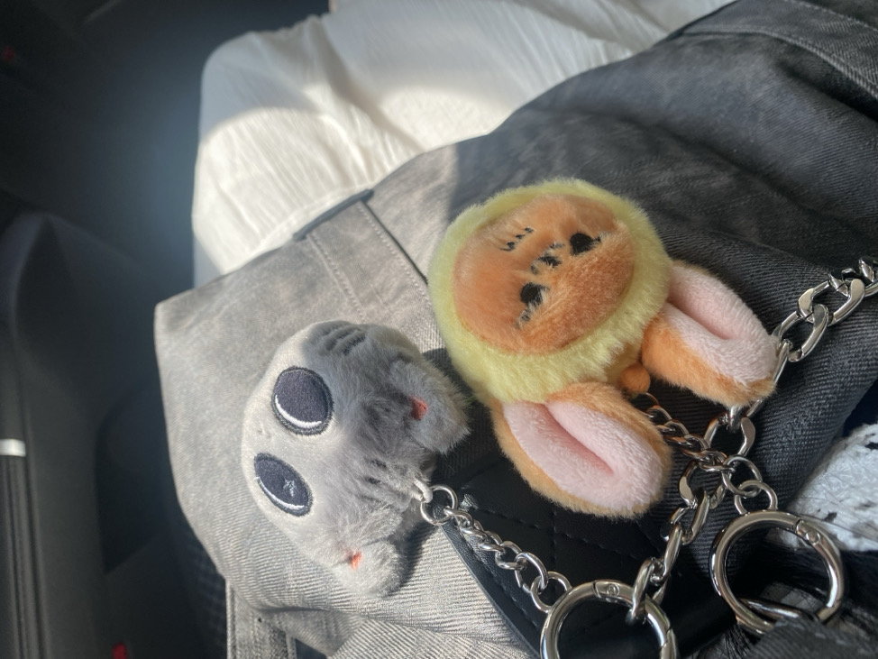 看清楚簡介再下單